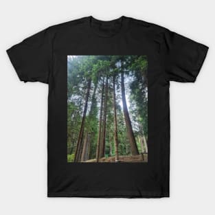 Pine Tree Forest T-Shirt